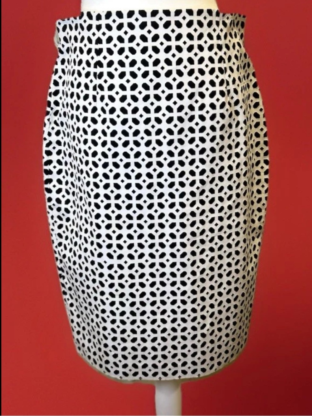 Alexander McQueen 2013 Monochromatic Geometric Pencil Skirt IT 46 US 10 Rare!!